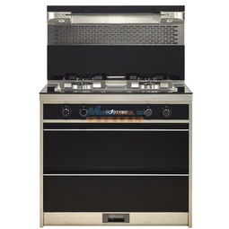 集成灶優(yōu)缺點 四川價格合理的集成灶出售