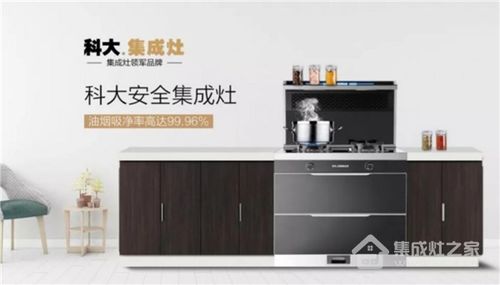 火王丨集成灶加盟哪個品牌好