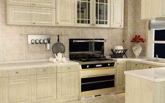 越來越多家庭不裝油煙機(jī)了,如今流行這種多功能灶,省錢又環(huán)保